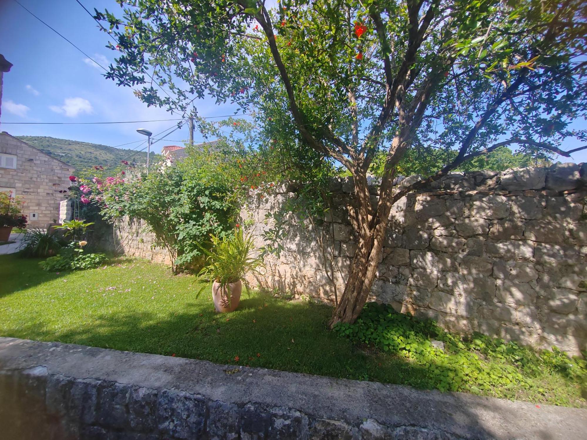 Dubrovnik House - Leni Lägenhet Komolac Exteriör bild